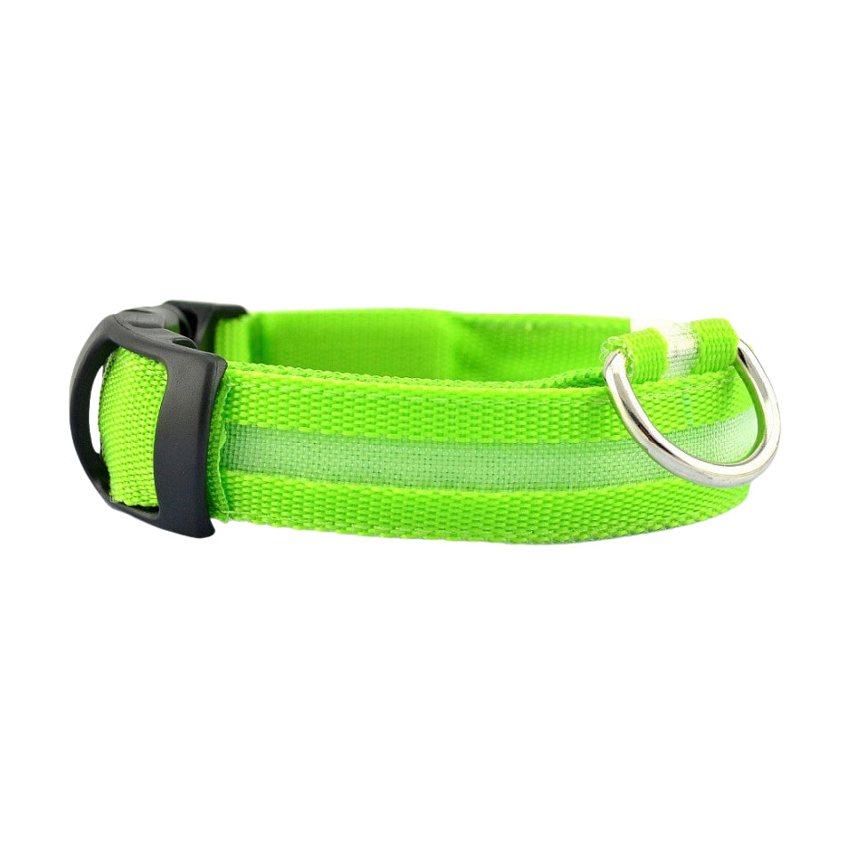 Glowing Dog Collar