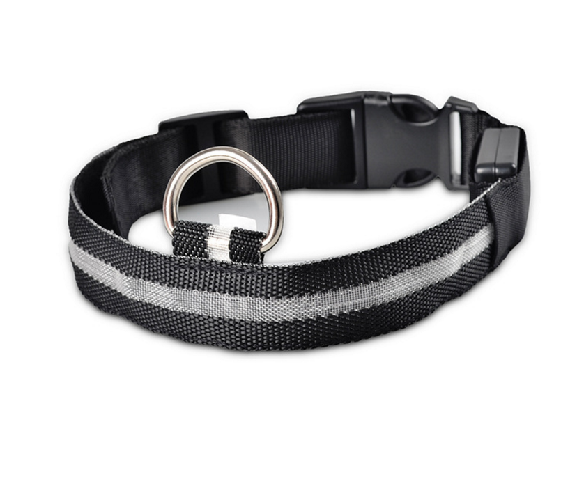 Glowing Dog Collar