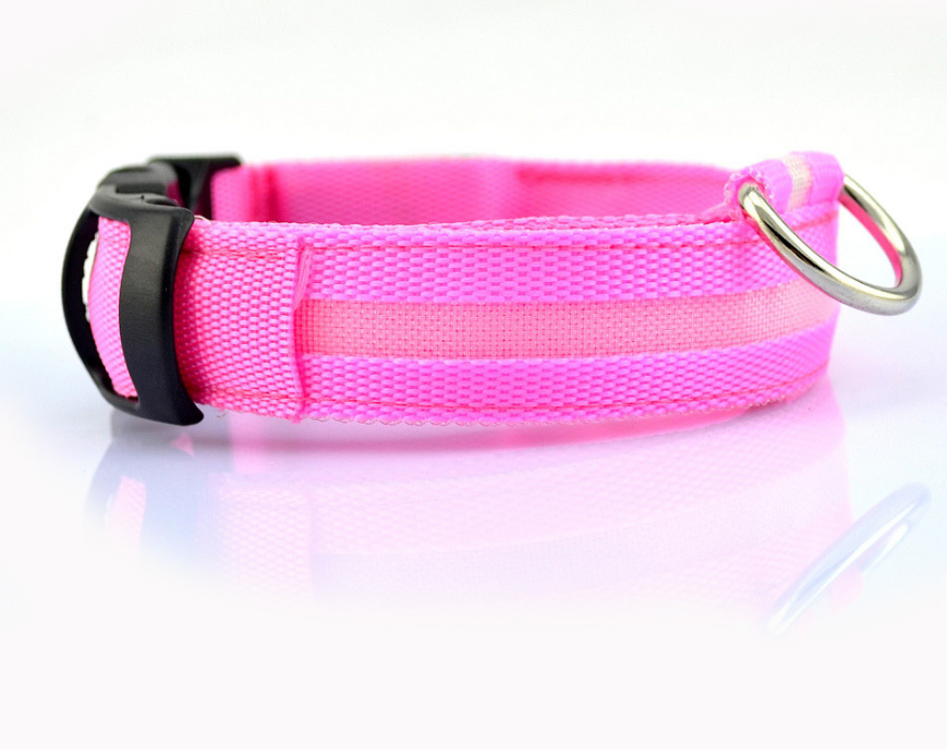 Glowing Dog Collar
