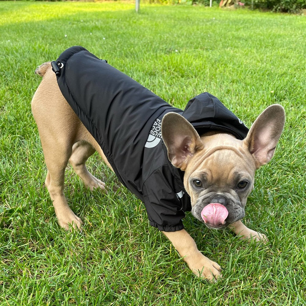 Dog Reflective Jacket with Hoodie