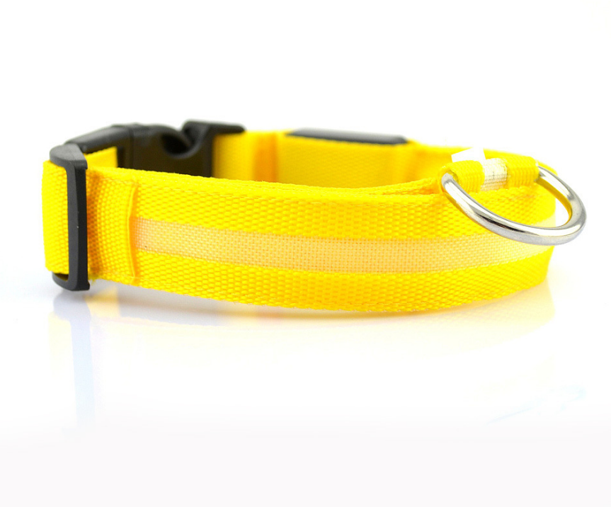Glowing Dog Collar