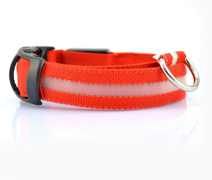Glowing Dog Collar