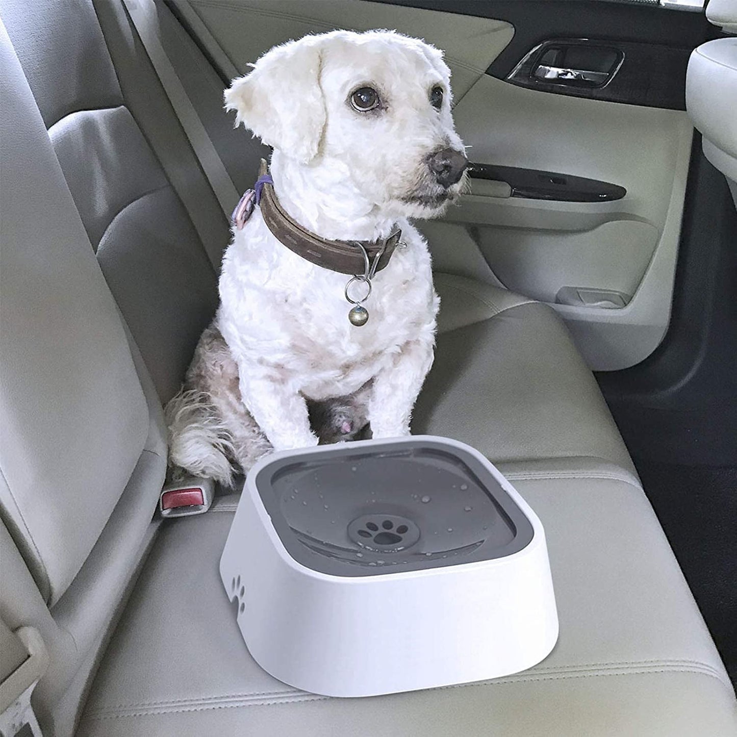 Spill-Safe Drinking Bowl