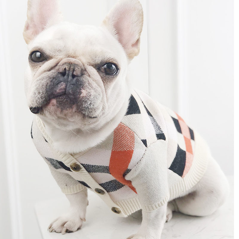 Dog Classic Sweater