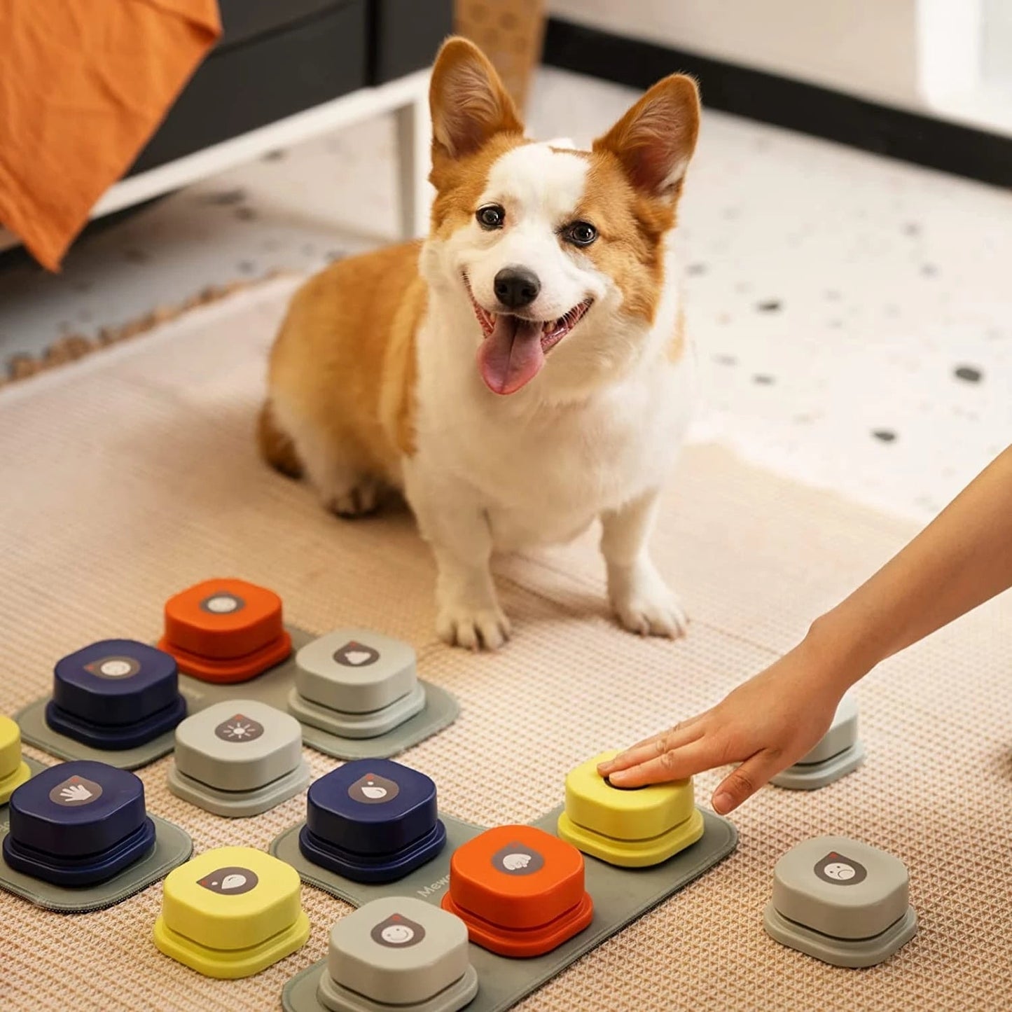 Interactive Pet Buttons