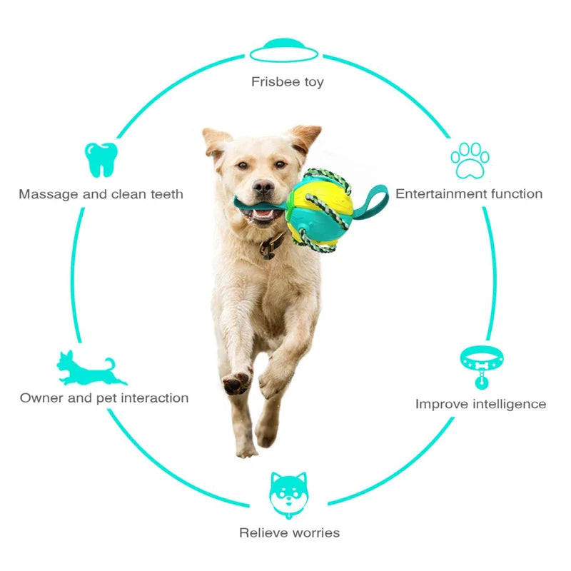Multifunctional Dog Magic Ball