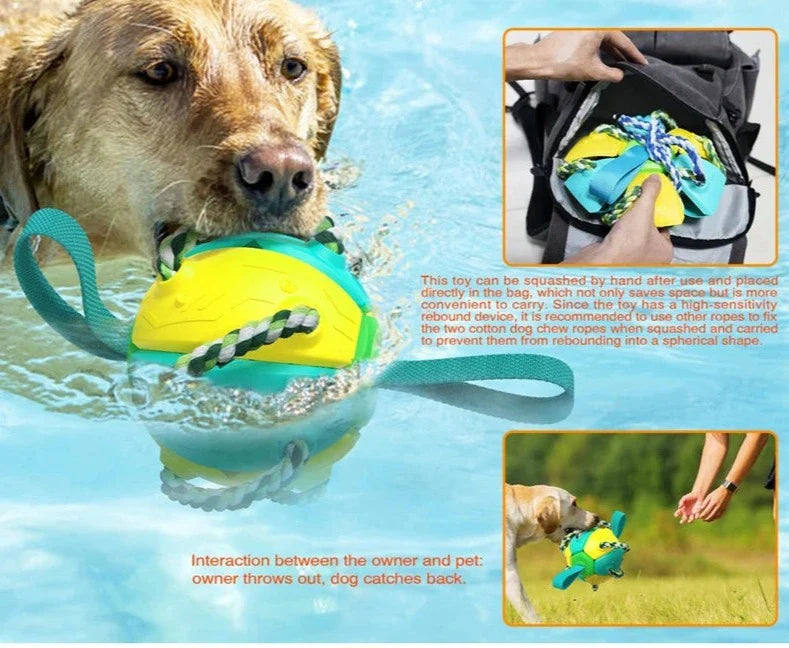 Multifunctional Dog Magic Ball