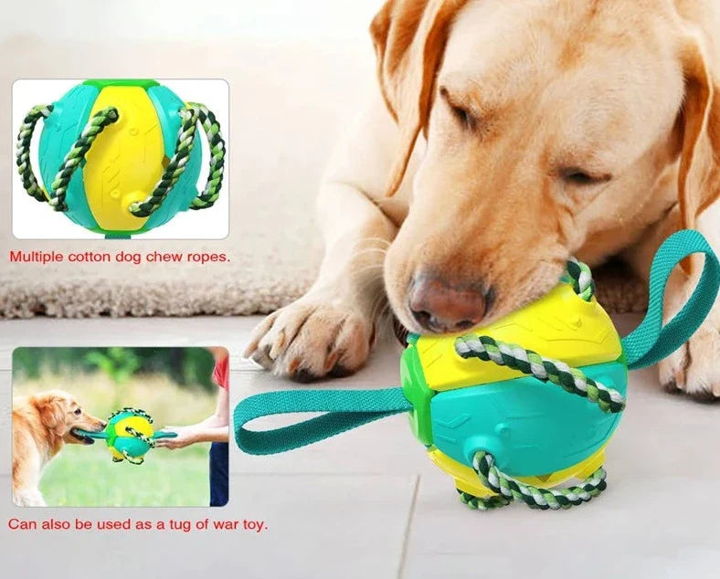 Multifunctional Dog Magic Ball