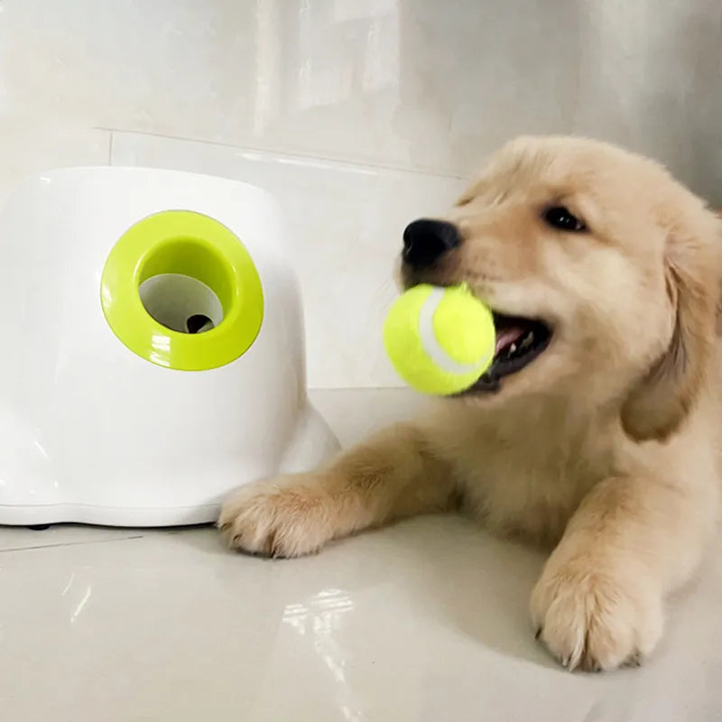 Smart Interactive Pet Ball Launcher