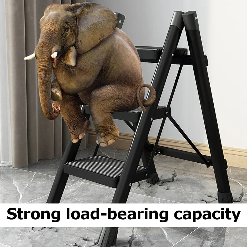 Multifunctional Folding Ladder