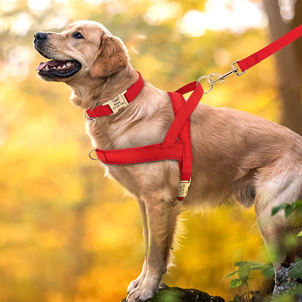 Personalized Dog Harness & Leash Set