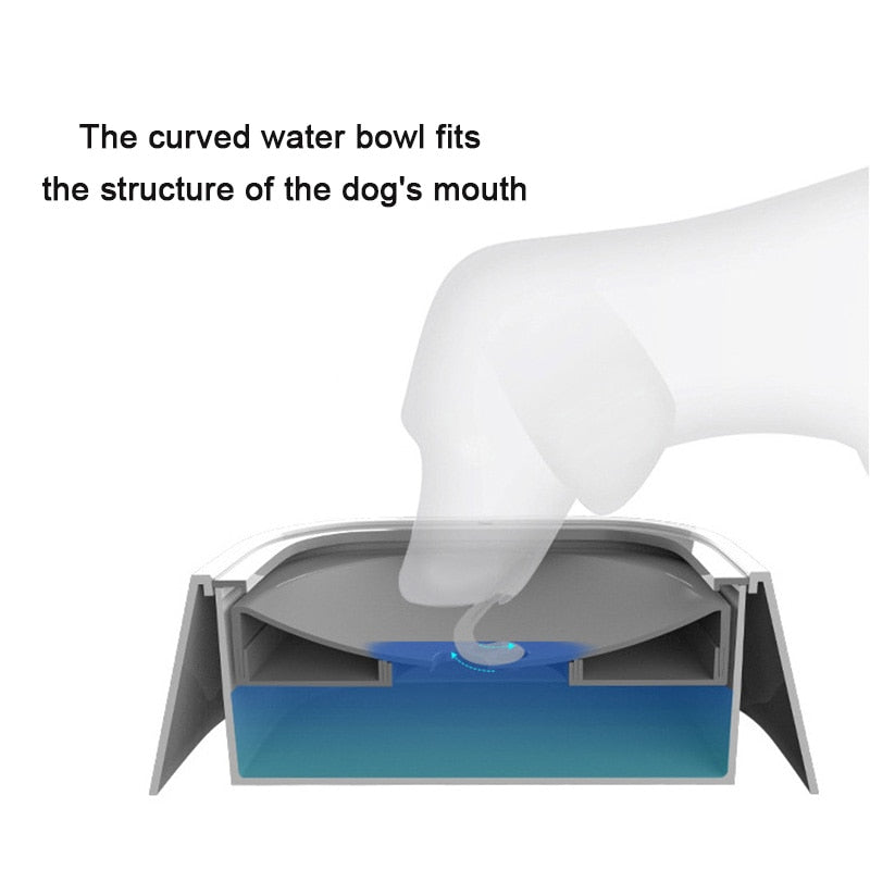 Spill-Safe Drinking Bowl