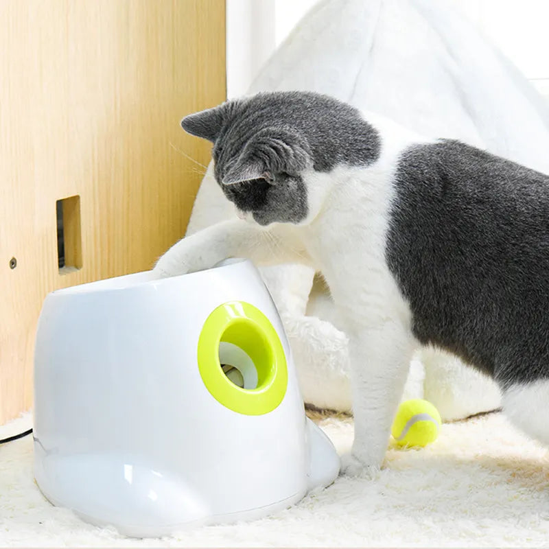 Smart Interactive Pet Ball Launcher