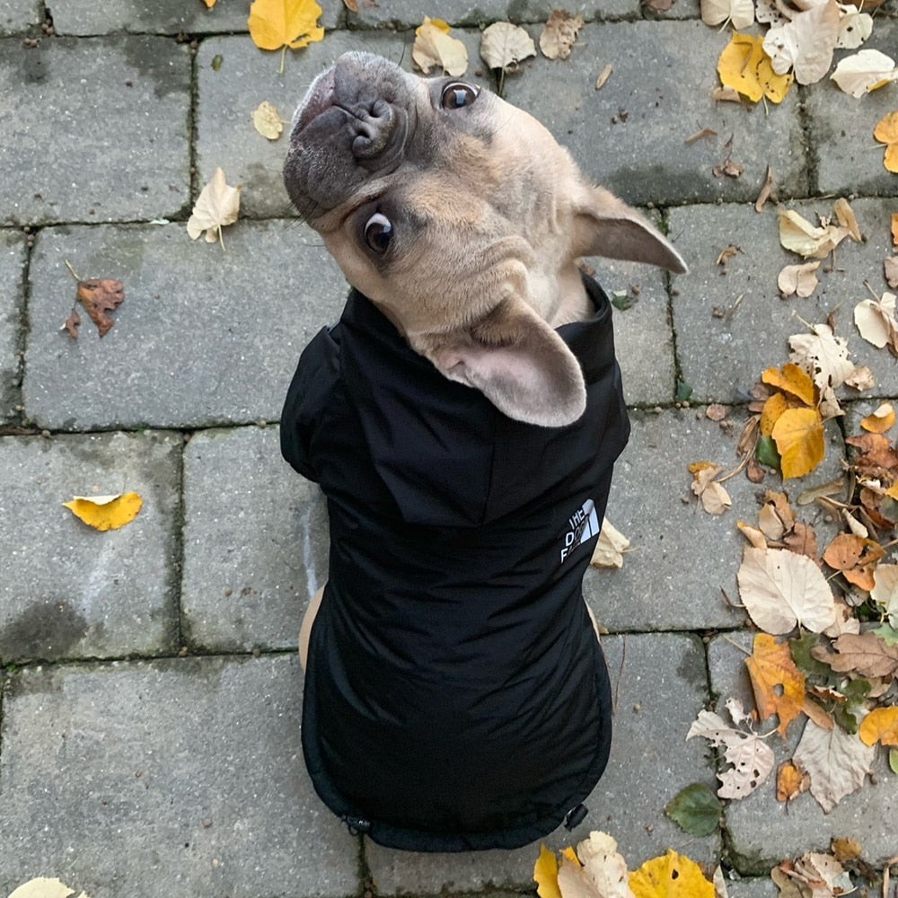 Dog Reflective Jacket with Hoodie