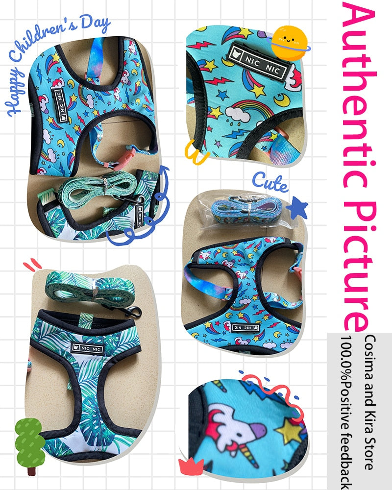 Tropical Harness and Leash