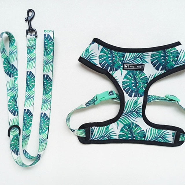 Tropical Harness and Leash