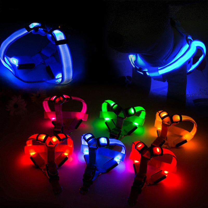 LED Flashing Dog Harness