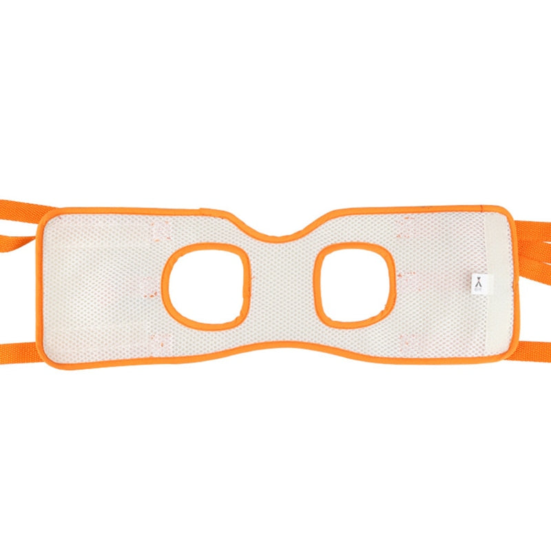 Dog Assist Belt