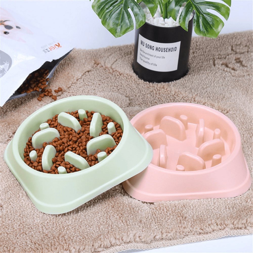 Slow Feeder Dog Bowl