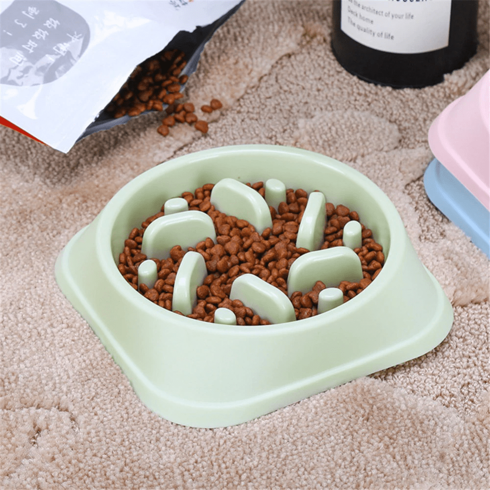 Slow Feeder Dog Bowl