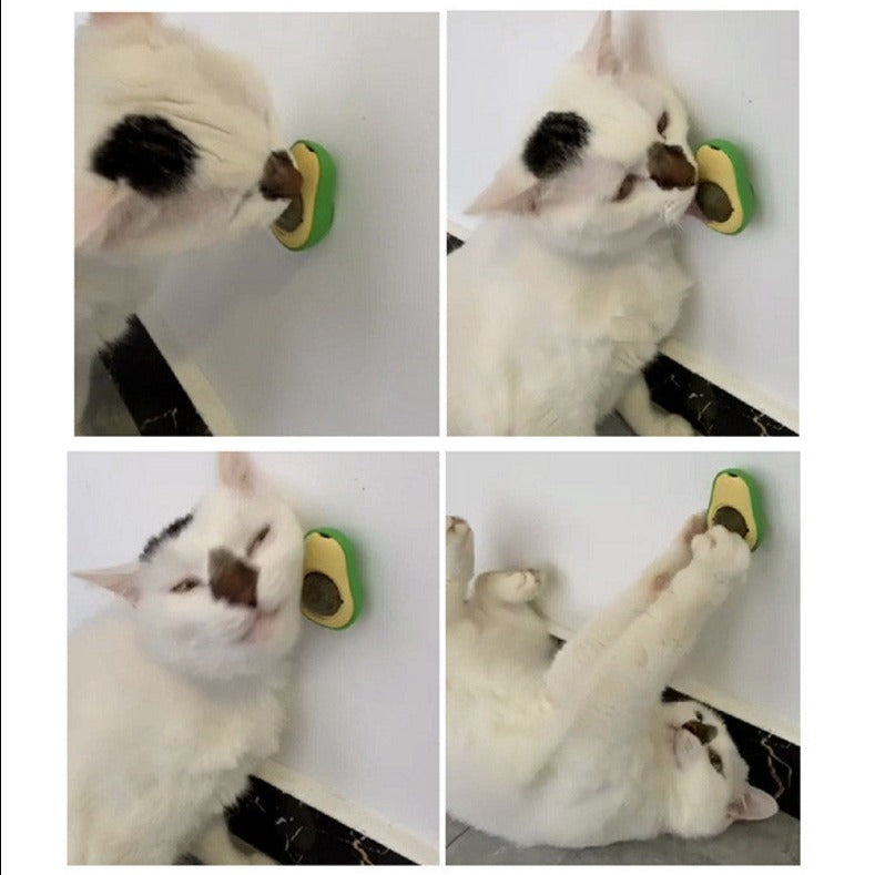 Avocado Catnip Toy