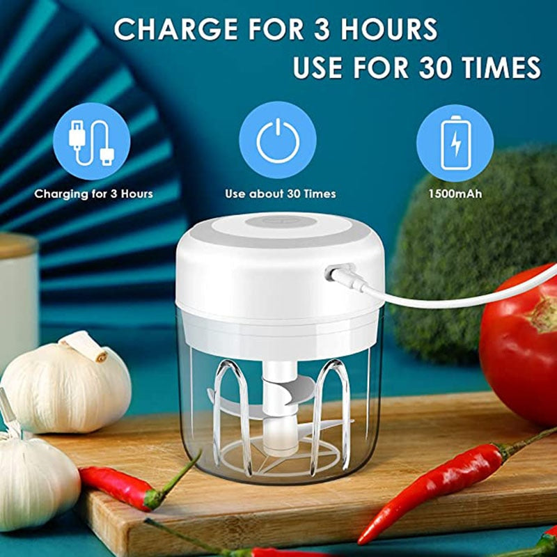 Electric Garlic Mincer Mini Chopper