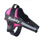 Customizable Dog Harness with Name Embroidery