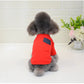 Dog Summer Shirt