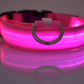 Glowing Dog Collar