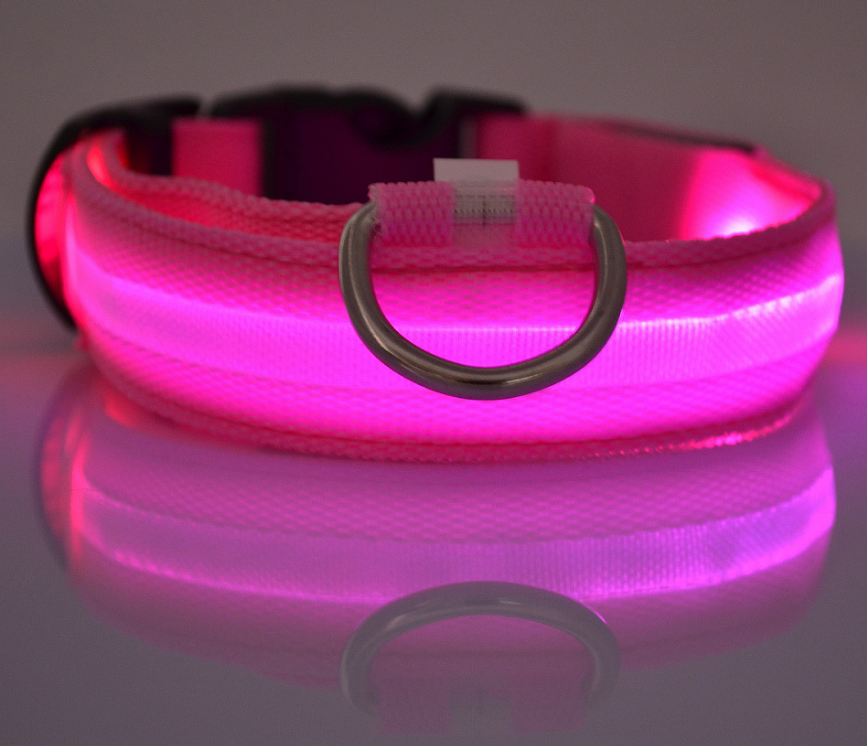 Glowing Dog Collar