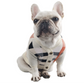 Dog Classic Sweater