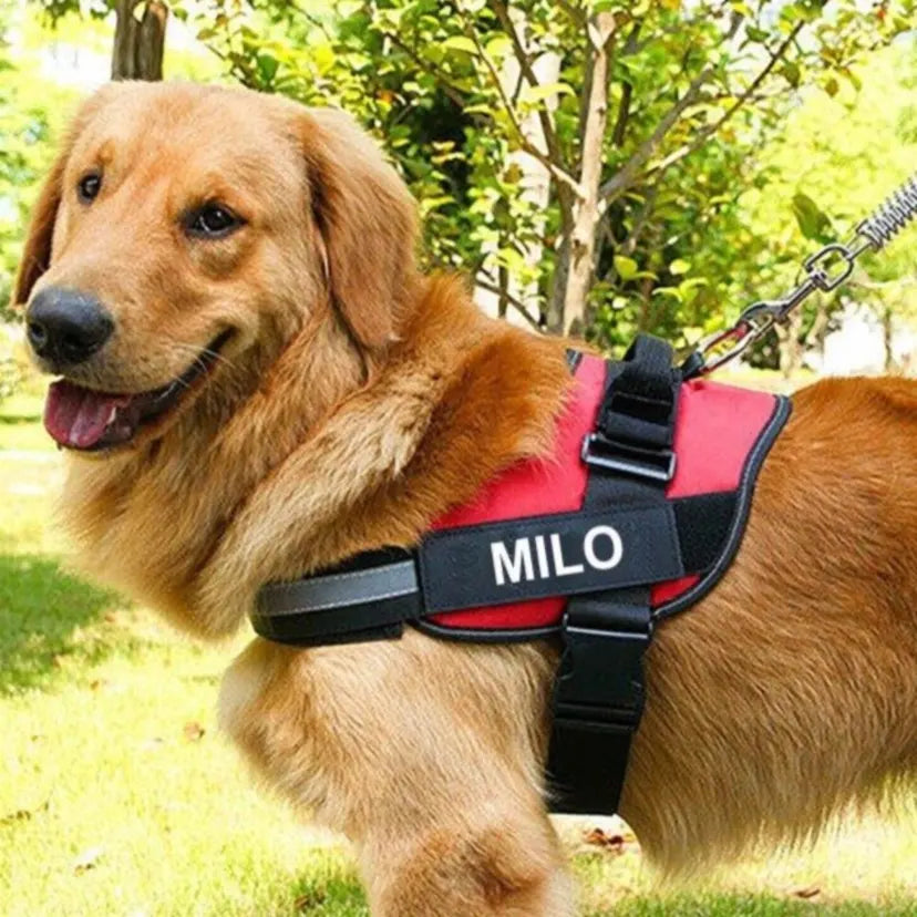 Customizable Dog Harness with Name Embroidery