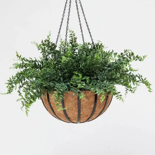 Garden Hanging Flower Basket