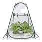 Garden Antifreeze Greenhouse