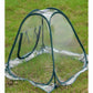 Garden Antifreeze Greenhouse