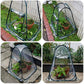 Garden Antifreeze Greenhouse