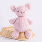 Baby Soothe Plush Toys