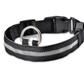 Glowing Dog Collar