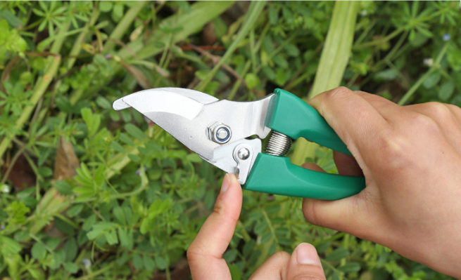 10-piece Gardening Tool Set