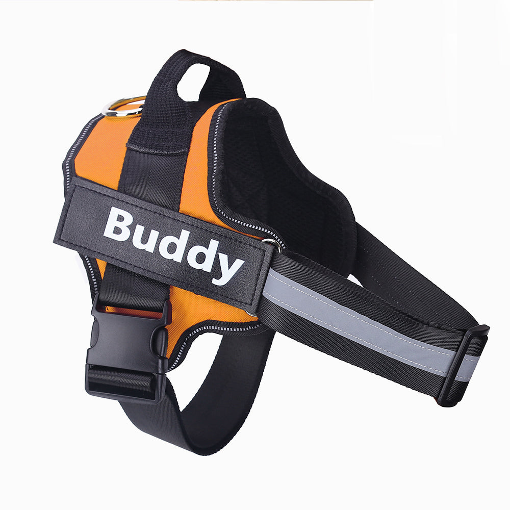 Customizable Dog Harness with Name Embroidery