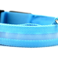 Glowing Dog Collar