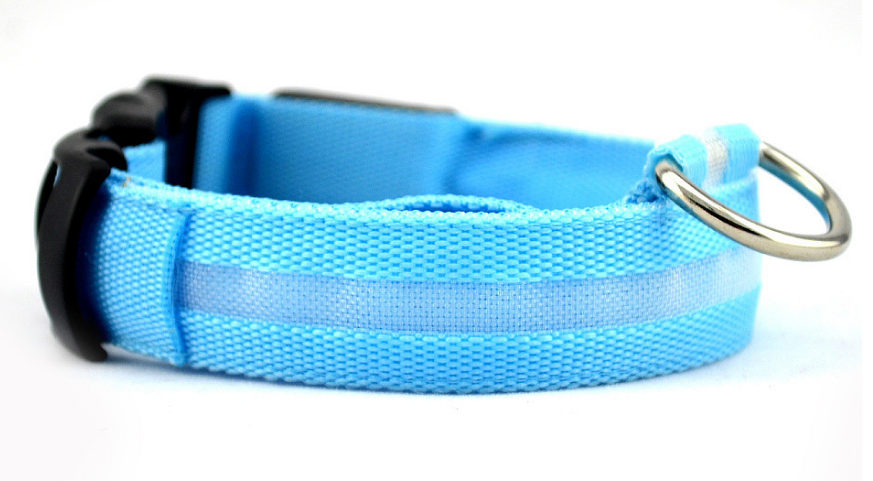 Glowing Dog Collar