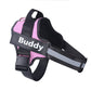 Customizable Dog Harness with Name Embroidery