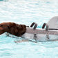 Adjustable Shark Life Vest for Dogs