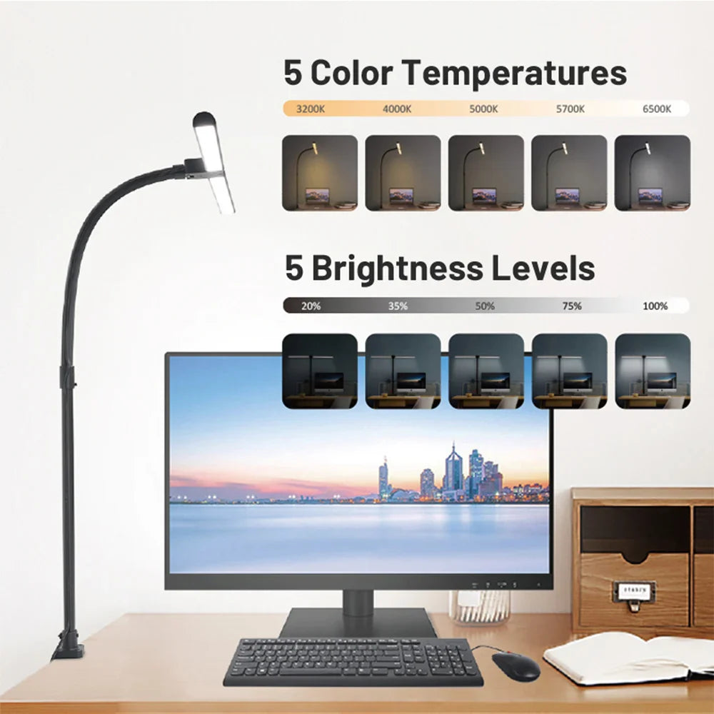 Double Head LED Desk Lamp