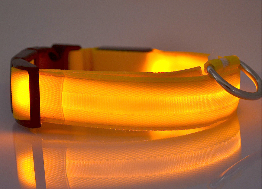 Glowing Dog Collar