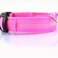 Glowing Dog Collar