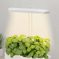 Smart Hydroponic Grow Light