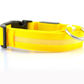 Glowing Dog Collar