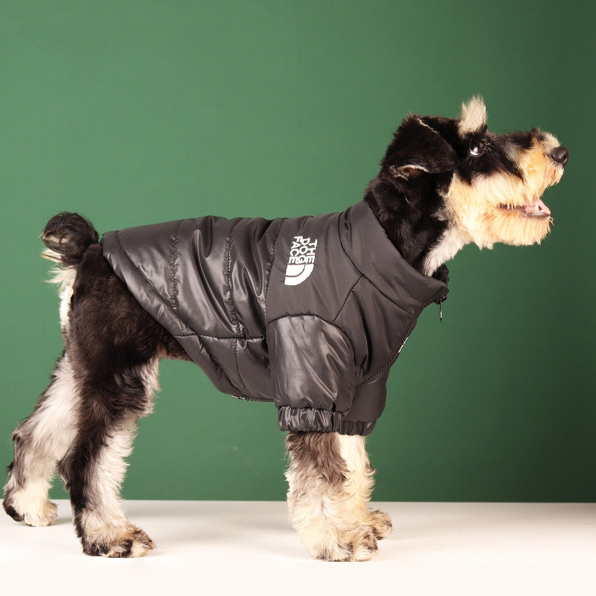 Dog Windproof Reflective Jacket